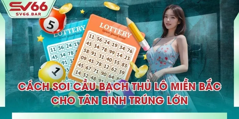 Cách Soi Cầu Bạch Thủ Lô Miền Bắc Cho Tân Binh Trúng Lớn